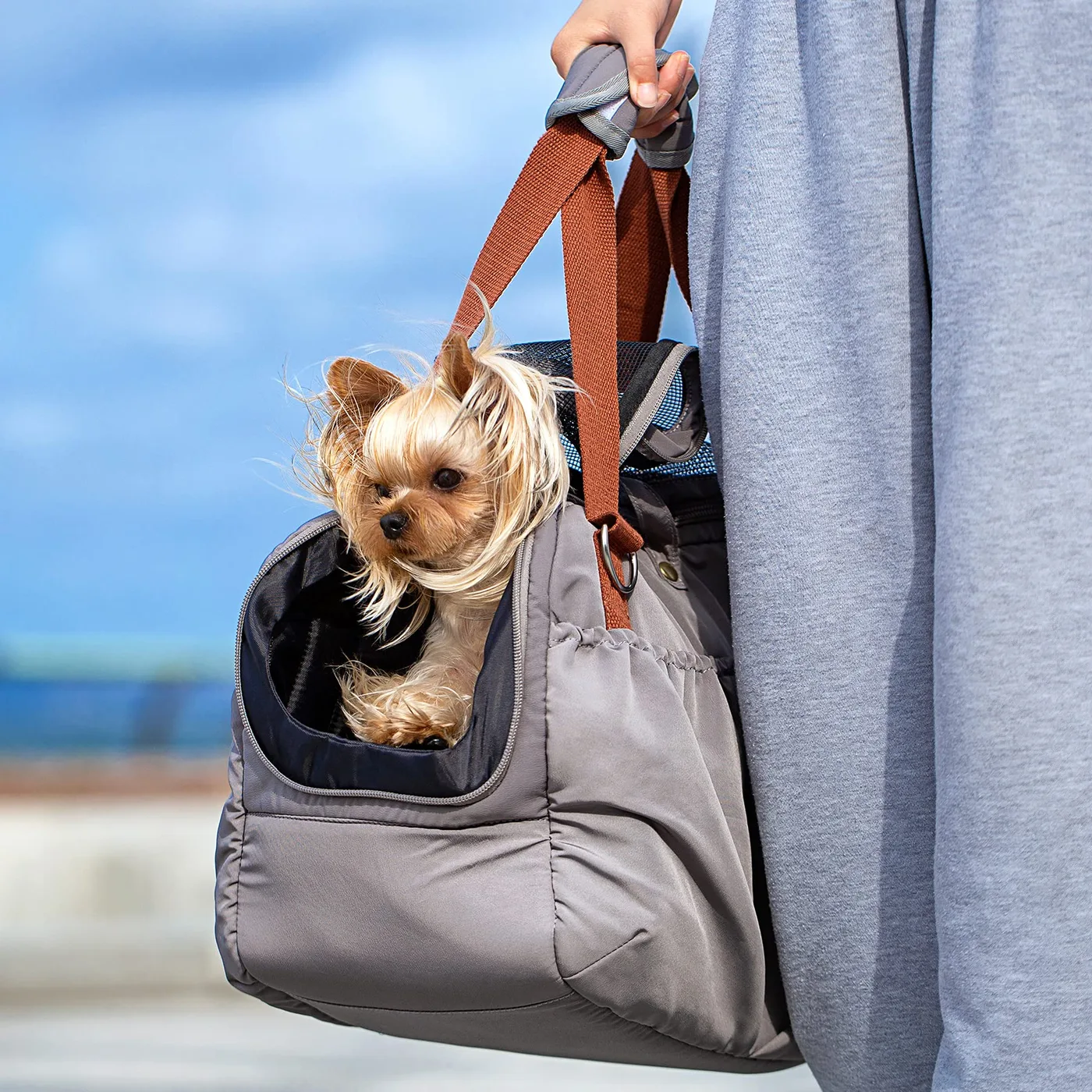 D-Ring Attachment Point: A Custom Pet Carrier Hardwa - detail view supplied by QUANZHOU JUNYUAN BAGS