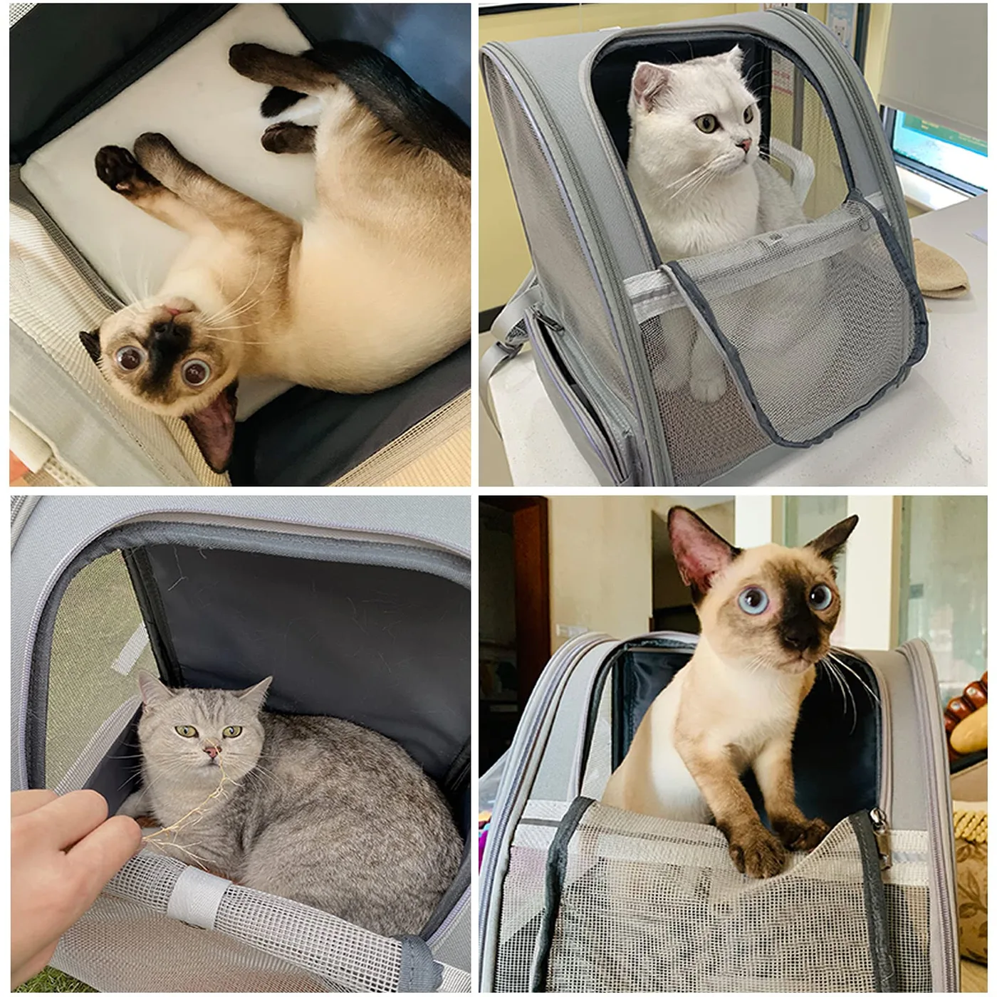 Custom Dog Ramp: Accessibility Design and Brand Prog - detail view supplied by QUANZHOU JUNYUAN BAGS